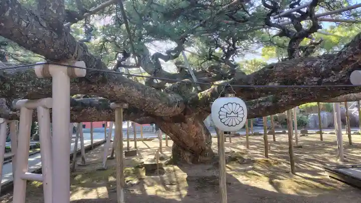善養寺(東京都)