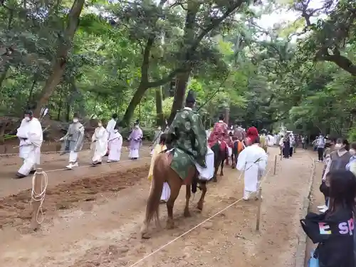 鹿島神宮のお祭り