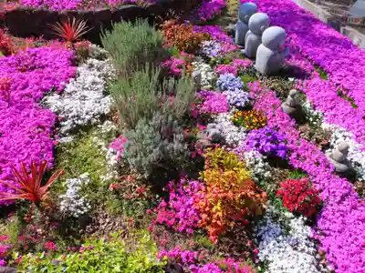 寿量山 速成寺(奈良県)