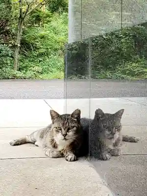 白金氷川神社(東京都)