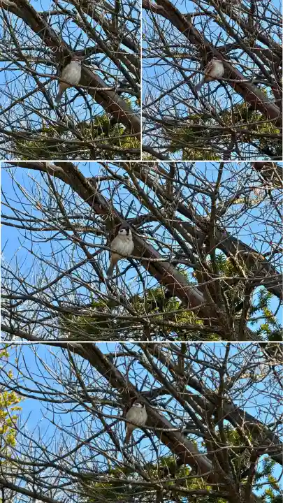 神山稲荷神社(北海道)