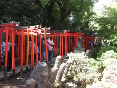 乙女稲荷神社(東京都)