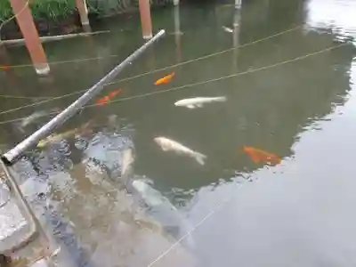 嘉川八幡宮(山口県)