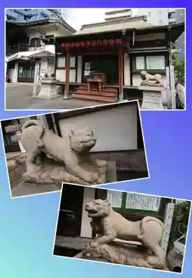 正伝寺の狛犬