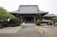 円福寺の本殿・本堂
