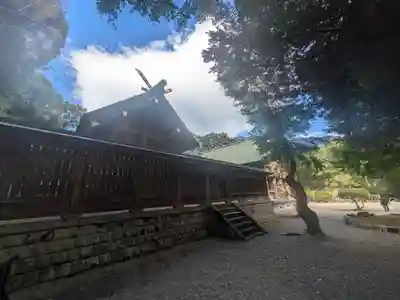 安房神社(千葉県)