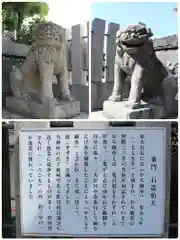野田恵美須神社の狛犬