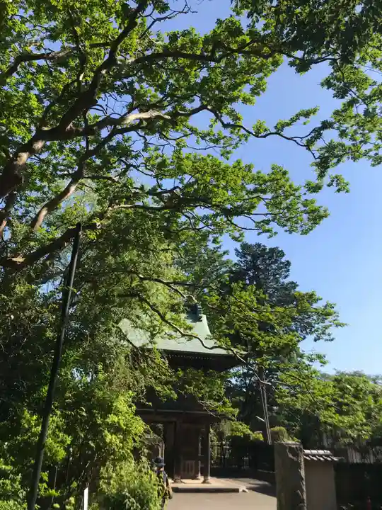 武蔵国分寺の山門・神門