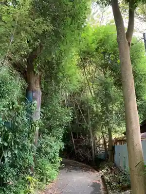 白山神社のその他建物