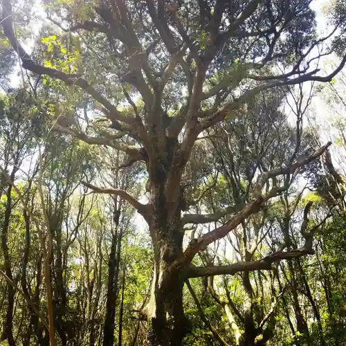 鹿島神宮の自然