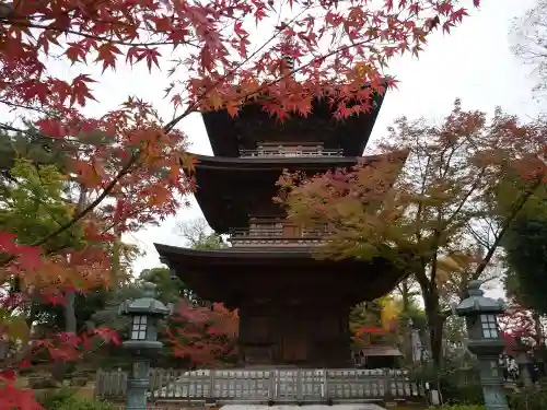 豪徳寺の塔