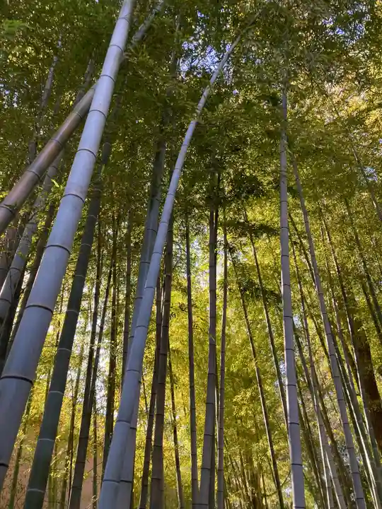 妙福寺(東京都)