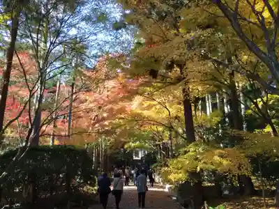 龍安寺(京都府)