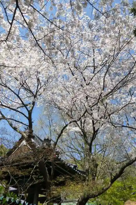 福仙寺(山口県)