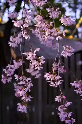 伊勢山皇大神宮(神奈川県)