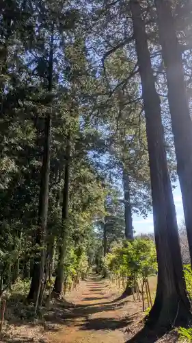 結城諏訪神社の{uncategorized: "未分類", other: "その他", undefined: "問題あり", building: "その他建物", grave: "お墓", sacred_gate: "鳥居", guardian: "狛犬", statue: "像", buddha: "仏像", history: "歴史", nature: "自然", garden: "庭園", animal: "動物", pagoda: "塔", temizu: "手水舎", mountain_gate: "山門・神門", sanctuary: "本殿・本堂", subordinate: "末社・摂社", art: "芸術", scenery: "景色", jizo: "地蔵", ema: "絵馬", goshuin: "御朱印", omikuji: "おみくじ", items: "授与品その他", amulet: "お守り", goshuincho: "御朱印帳", eats: "食事", festival: "お祭り", votive_dance: "神楽", shichigosan: "七五三参", wedding: "結婚式", experience: "体験その他", initially: "初詣", around: "周辺", anti_infection: "感染症対策"}