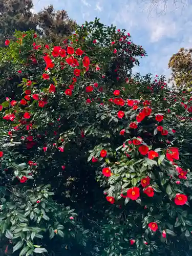 守りの神　藤基神社(新潟県)