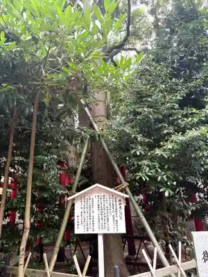 野々宮神社(滋賀県)