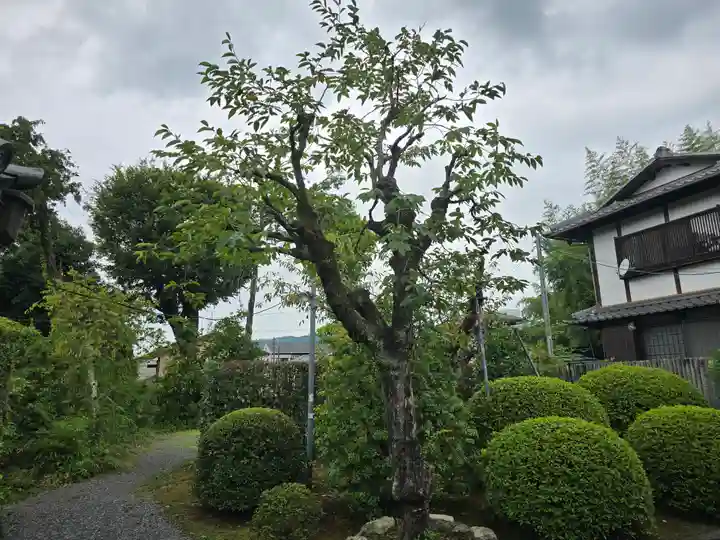 大乗院(京都府)