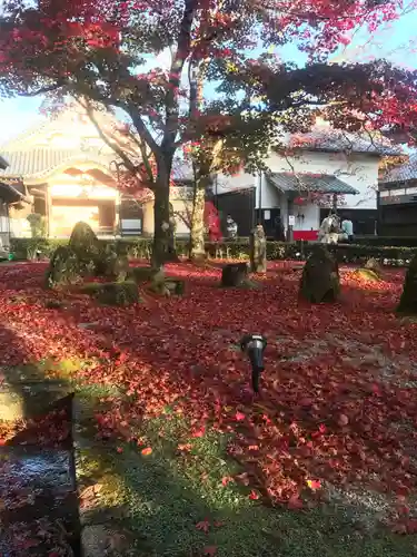 永源寺の建物その他