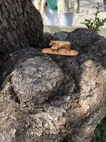 射水神社の狛犬