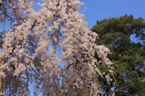 熊野福藏神社の景色