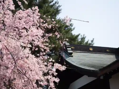 猿田彦神社(東京都)