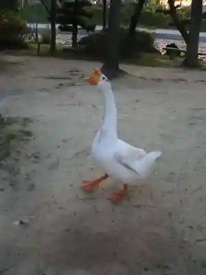 津島神社の周辺