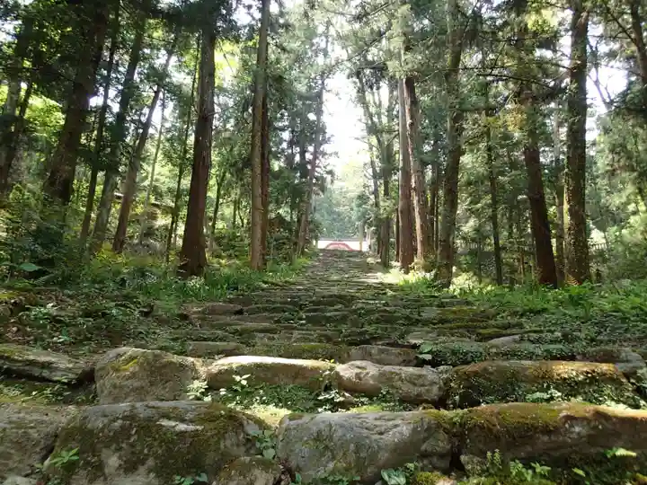 上一宮大粟神社の自然