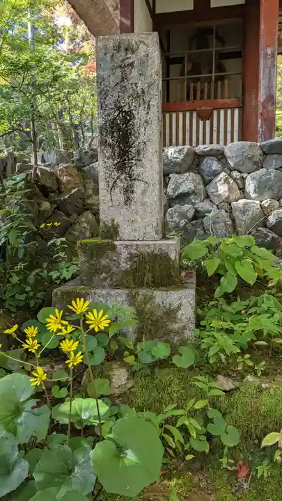 常寂光寺(京都府)