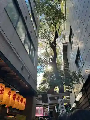 少彦名神社のその他建物