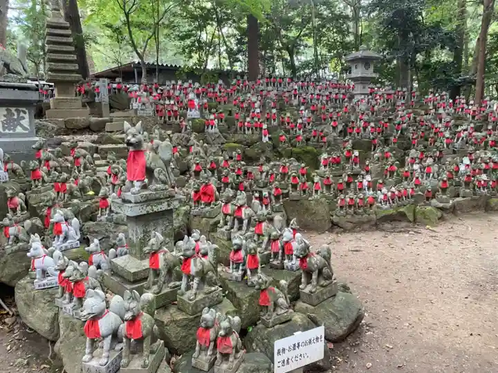 豊川閣 妙厳寺の狛犬