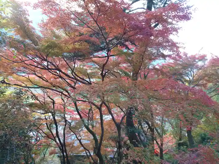 太皷谷稲成神社(島根県)