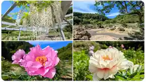 金蛇水神社(宮城県)(2024年05月11日(土) 09時27分47秒投稿)