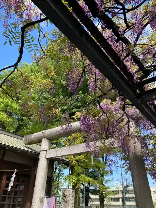 國領神社(東京都)