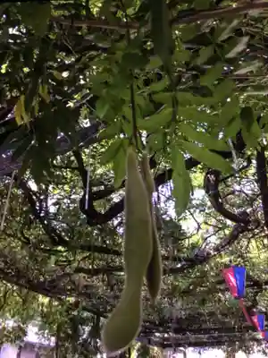 國領神社(東京都)