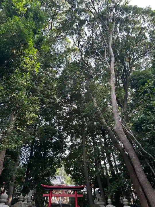 日吉神社(上社)(愛知県)
