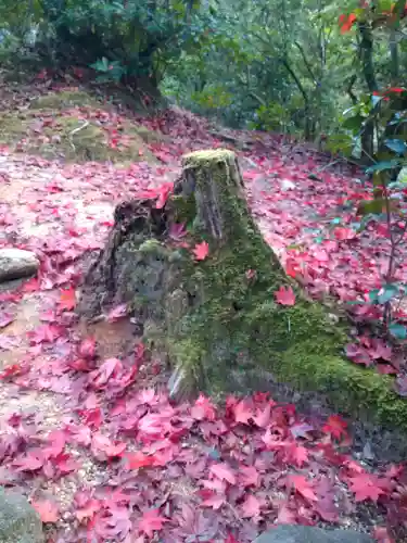 四宮神社の自然