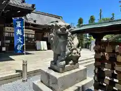 大垣八幡神社の狛犬