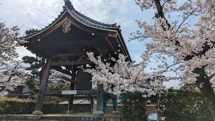 妙顯寺(妙顕寺)(京都府)