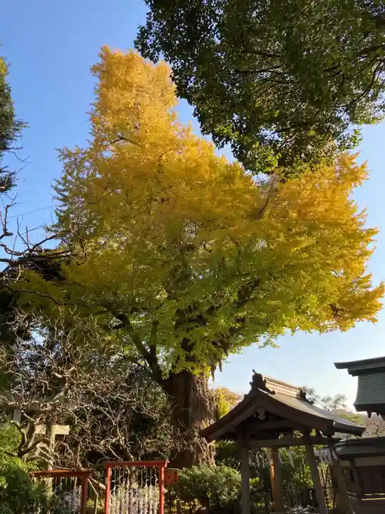 荏柄天神社(神奈川県)