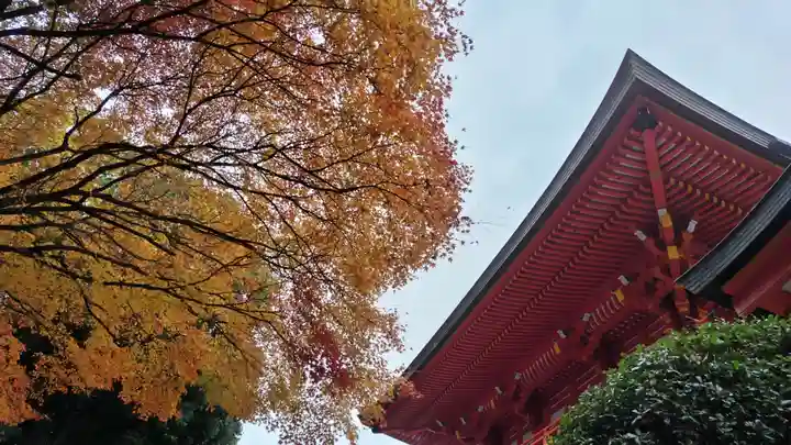 近江神宮(滋賀県)