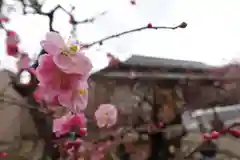 菅原天満宮（菅原神社）の自然