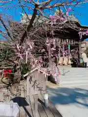 桜神宮(東京都)