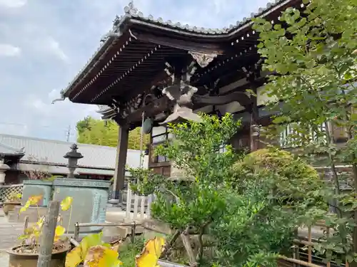 妙蓮寺の本殿・本堂