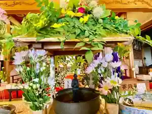 法話と天井絵の寺 観音寺(徳島県)(2022年06月14日(火) 22時12分44秒投稿)