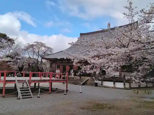 醍醐寺(京都府)