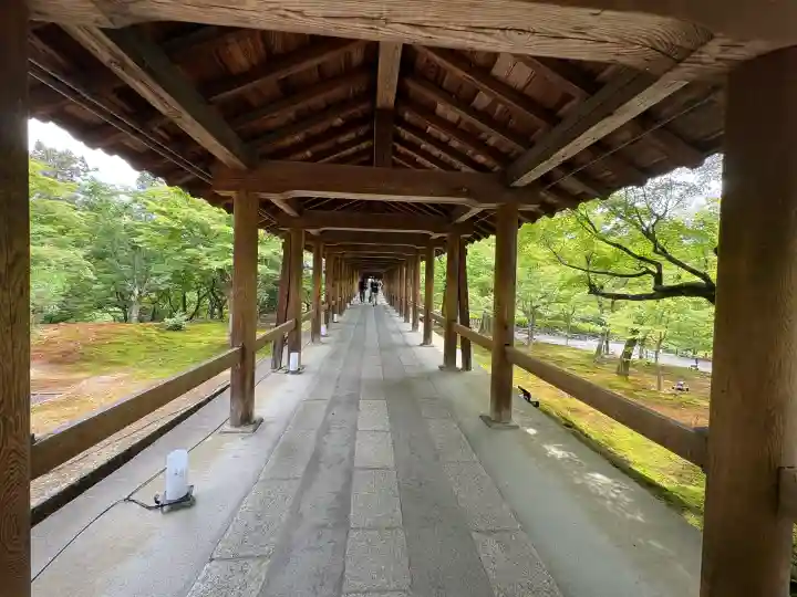 東福禅寺(東福寺)(京都府)