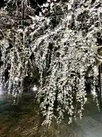 八幡社の{uncategorized: "未分類", other: "その他", undefined: "問題あり", building: "その他建物", grave: "お墓", sacred_gate: "鳥居", guardian: "狛犬", statue: "像", buddha: "仏像", history: "歴史", nature: "自然", garden: "庭園", animal: "動物", pagoda: "塔", temizu: "手水舎", mountain_gate: "山門・神門", sanctuary: "本殿・本堂", subordinate: "末社・摂社", art: "芸術", scenery: "景色", jizo: "地蔵", ema: "絵馬", goshuin: "御朱印", omikuji: "おみくじ", items: "授与品その他", amulet: "お守り", goshuincho: "御朱印帳", eats: "食事", festival: "お祭り", votive_dance: "神楽", shichigosan: "七五三参", wedding: "結婚式", experience: "体験その他", initially: "初詣", around: "周辺", anti_infection: "感染症対策"}