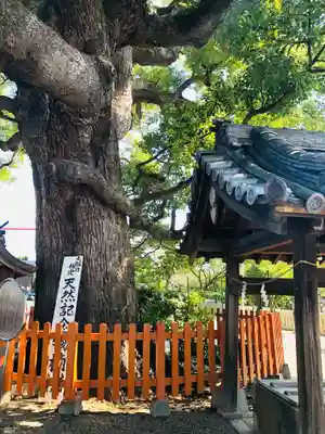 百舌鳥八幡宮(大阪府)